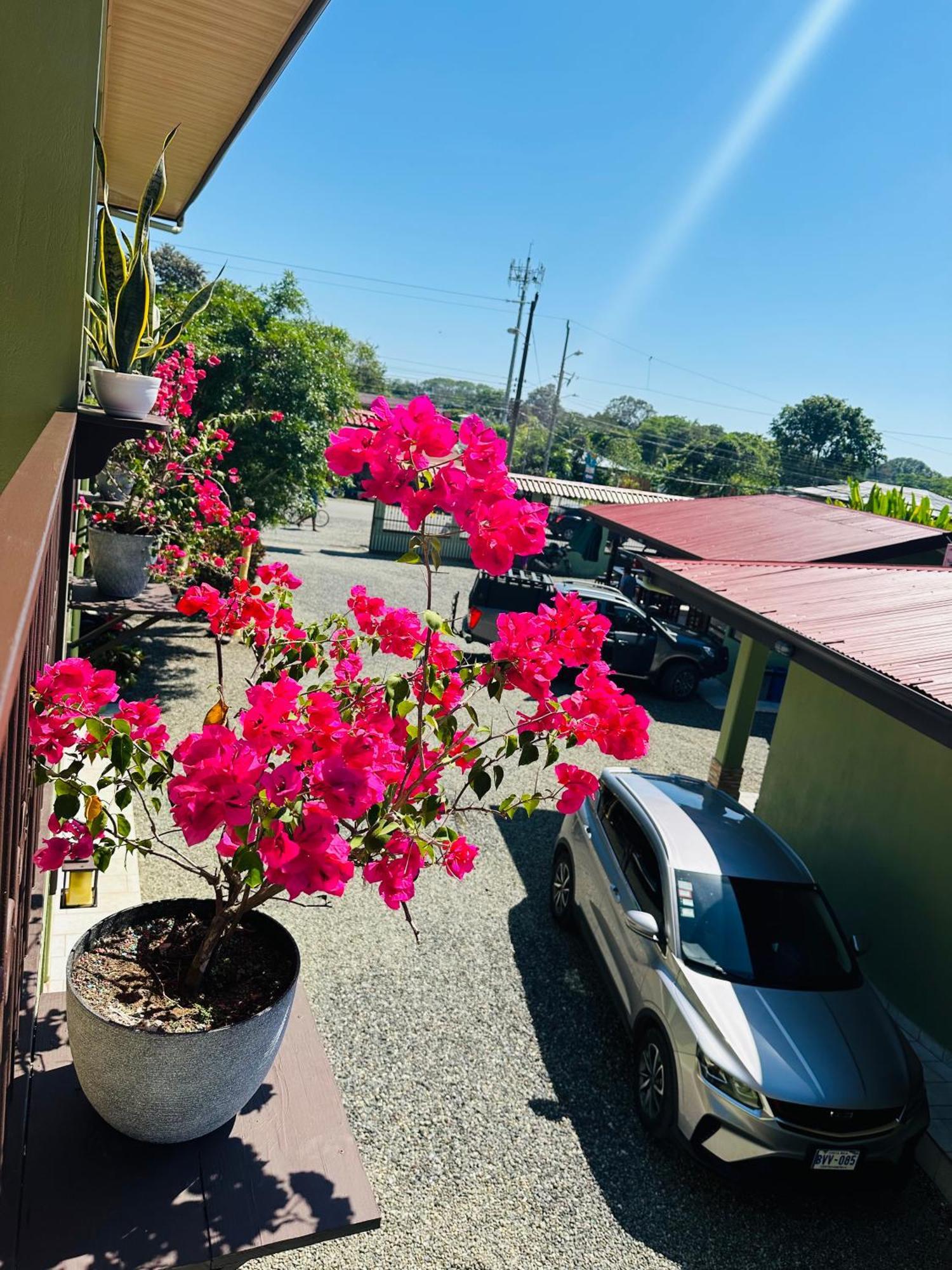 Hotel La Fiore De Bahia Uvita Bagian luar foto