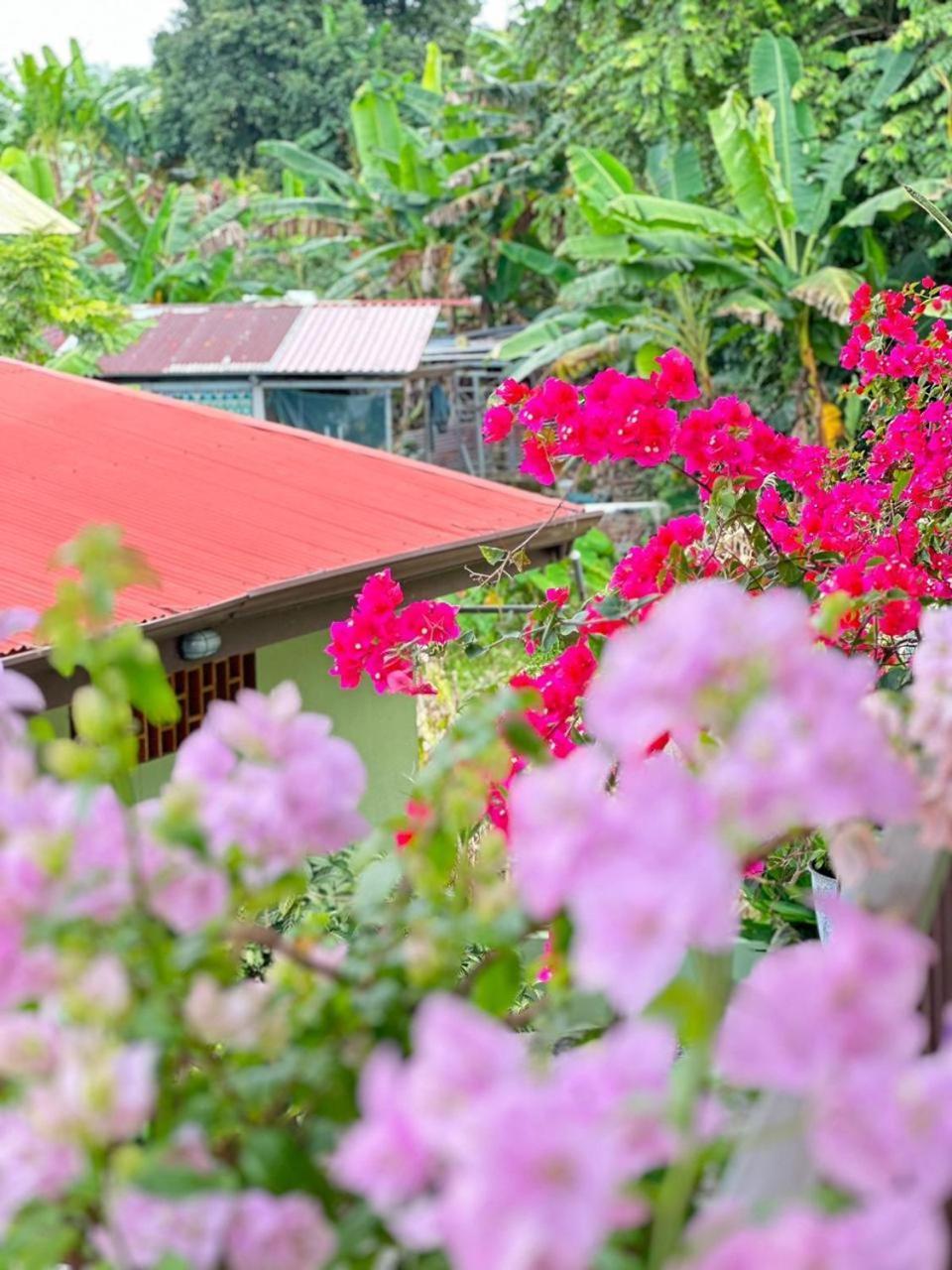 Hotel La Fiore De Bahia Uvita Bagian luar foto